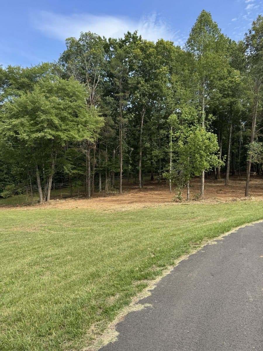 After forestry mulching: Treeline reclaimed, undergrowth cleared